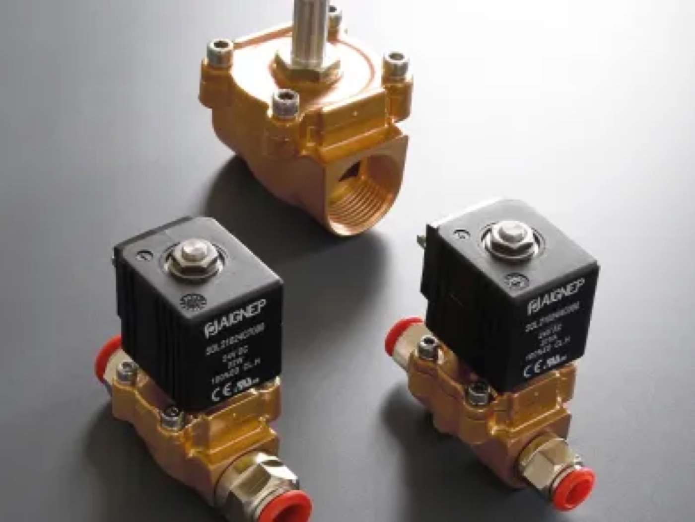 Aignep Electrovalve servo-asistate cu membrană tracționată seria 06F