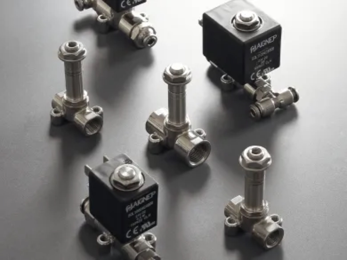 Aignep Electrovalve cu acțiune directă, variantă inox seria X1F