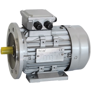 Trale · DICSA Motor electric trifazat/monofazat seria MET (Trale)